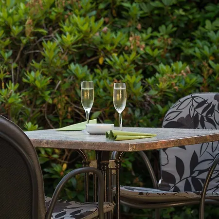 Gut-hotel Tannenhof Hotel Haiger
